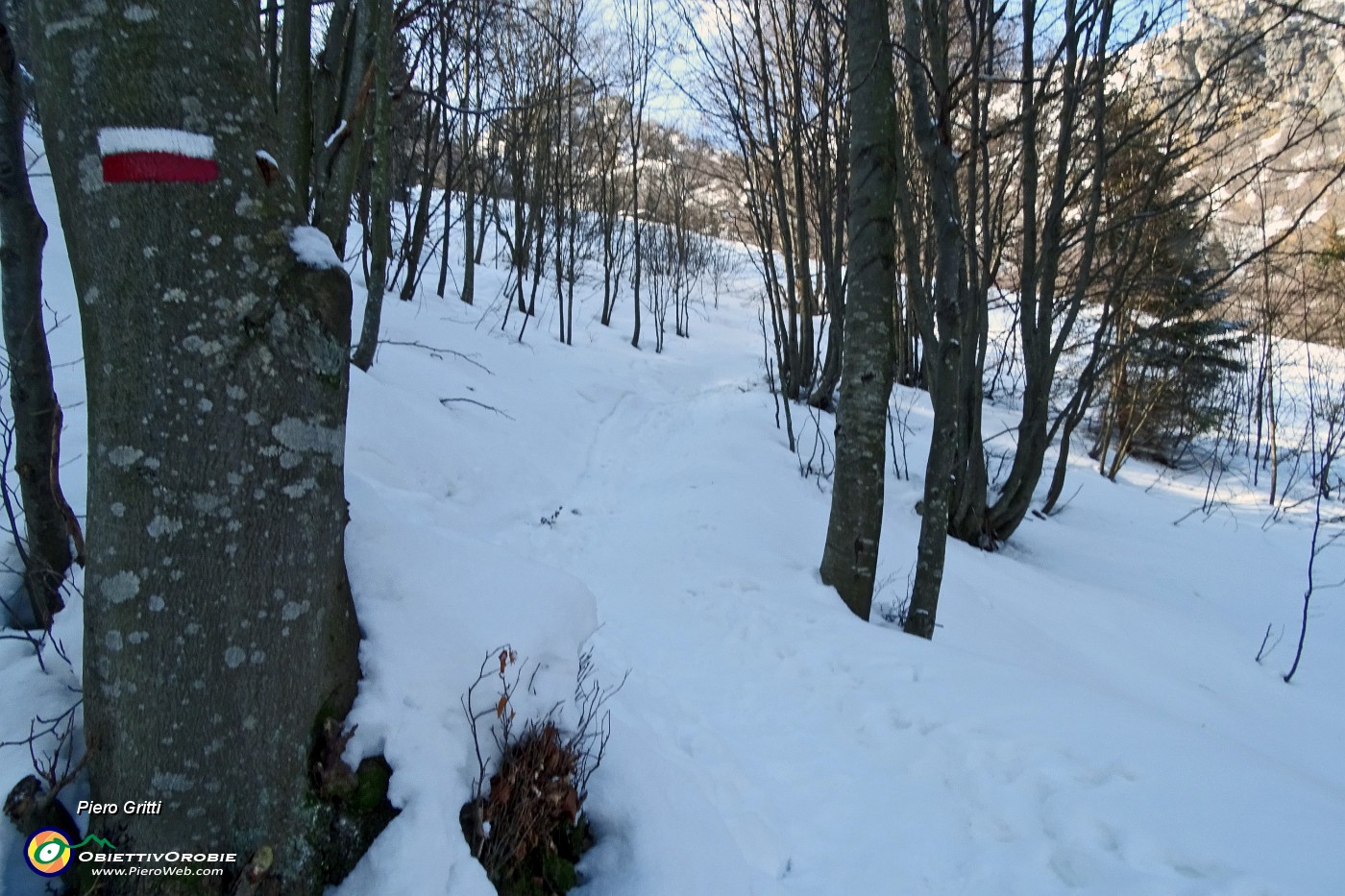 17 Si cammina bene sulla neve .JPG -                                